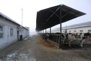 Combinatul Agroindustrial