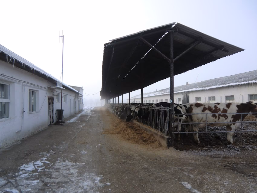 Combinatul Agroindustrial