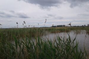 Complex Balta Alba Buzau