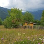 Complex Cabane Valea Ierii