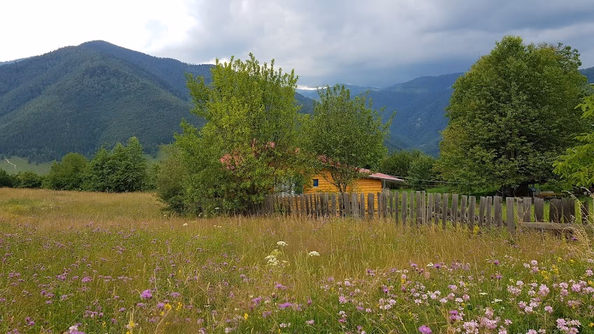 Complex Cabane Valea Ierii