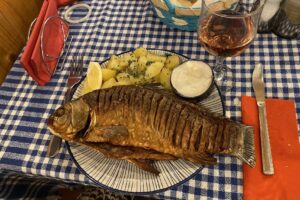 Complex Lotus Crisan