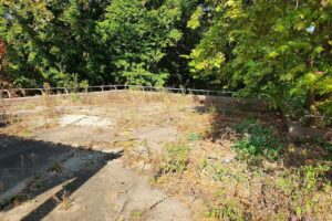 Complex Pacea Snagov