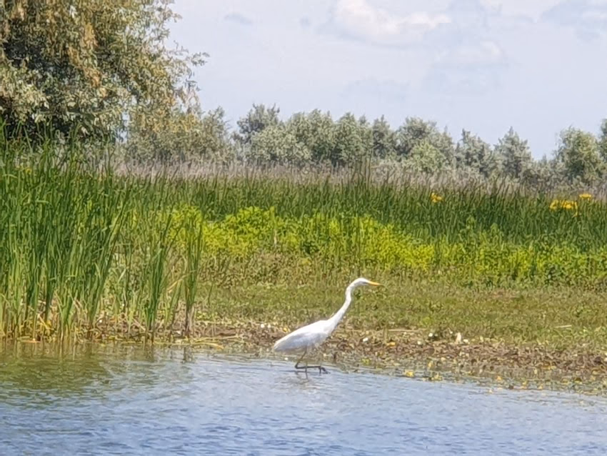 Complex Turistic Delta Mon Amour