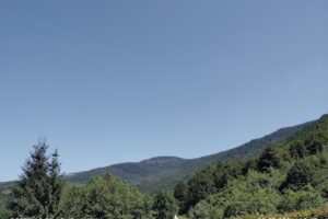 Complex Turistic Nora