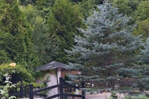 Complex turistic ȚaraLoviștei