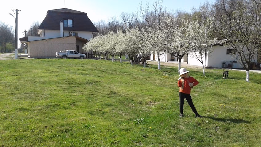 Complex Turistic Vlascuta