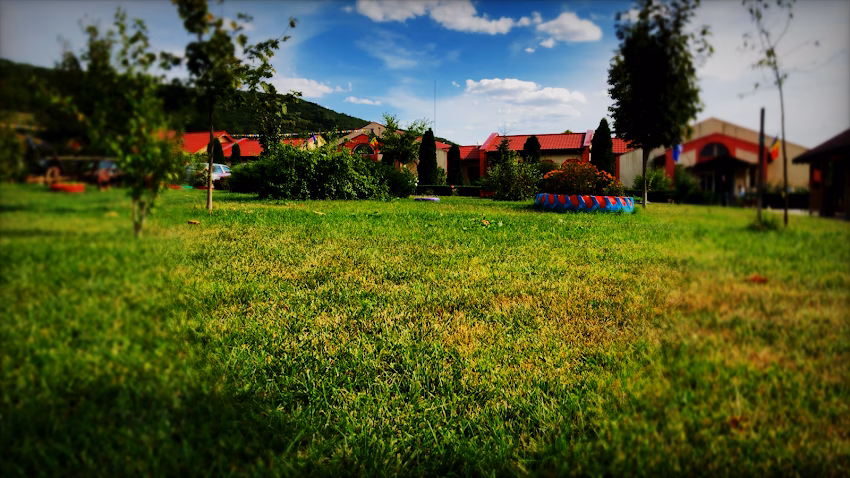 Complexul de Îngrijire și Asistență pentru Persoane Vârstnice Răchitoasa