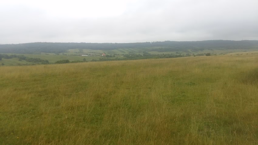 Comuna Asuaju de Sus