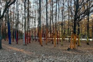 Comună Bumbeştipiţic