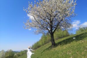 Comună Copalnicmănăştur