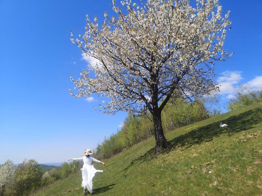 Comună Copalnicmănăştur