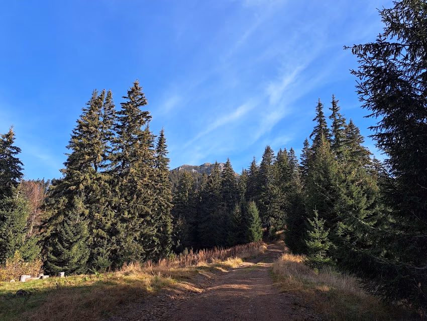 Comuna Groșii Țibleșului