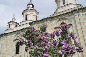 Comuna Mănăstirea Cașin