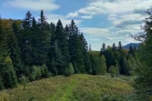 Comuna Piatra Șoimului