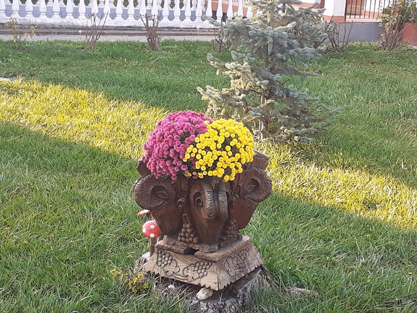 Comuna Poienarii Burchii