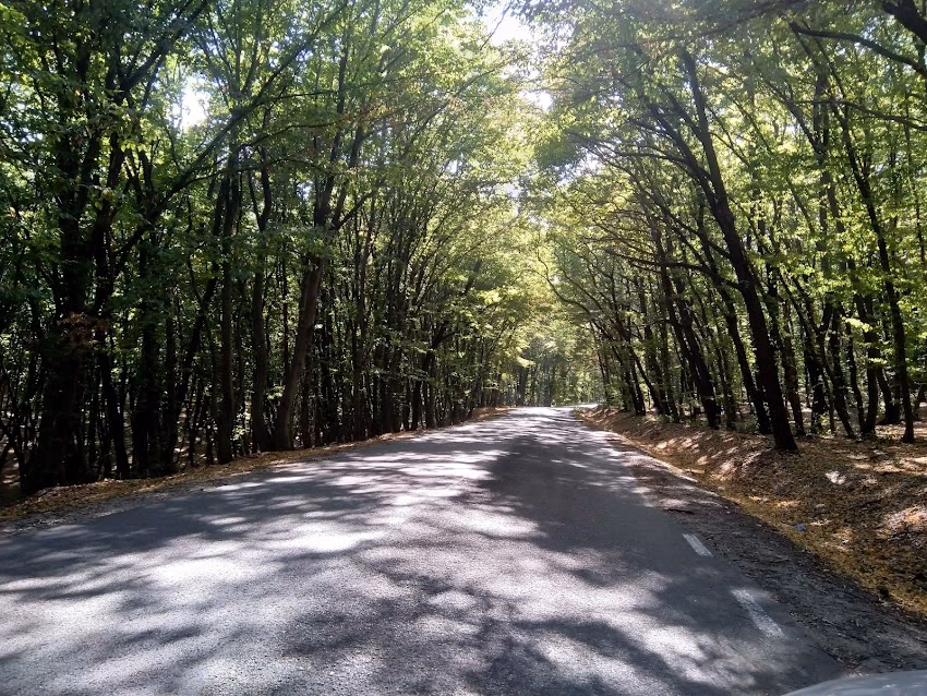 Comuna Roșia de Secaș