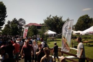 Comuna Târgșoru Vechi