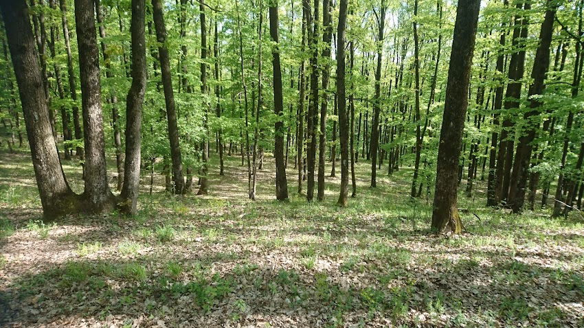 Comună Vulcanapandele