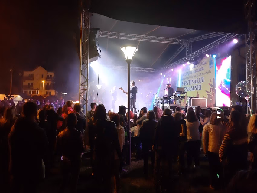 Consiliul Local Bragadiru