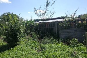 Consiliul Local Tătărani