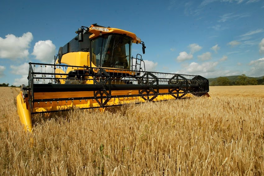 Consultanta Fonduri EuropeneFinantareCofinantare