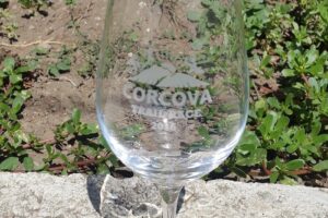 Corcova RoyDamboviceanu