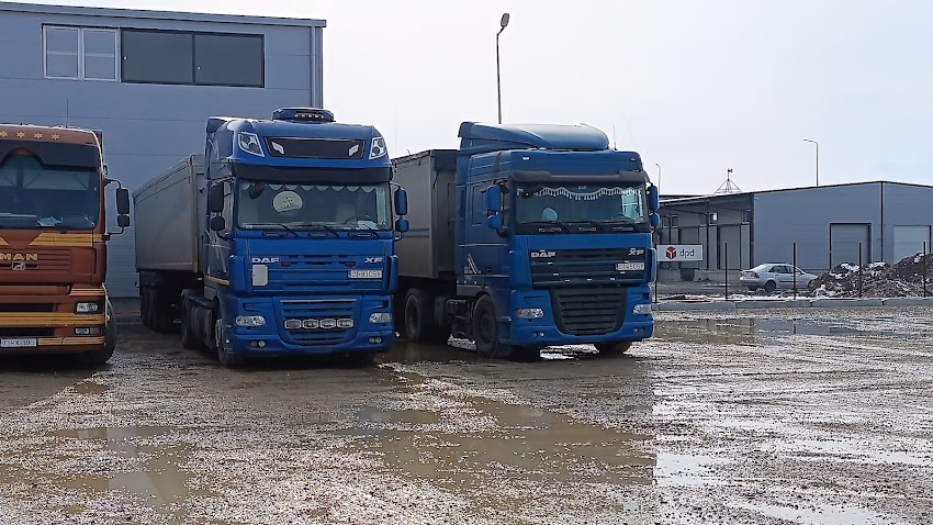 Coroiu Tir Trans Srl