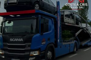Costea Cris Trans Srl