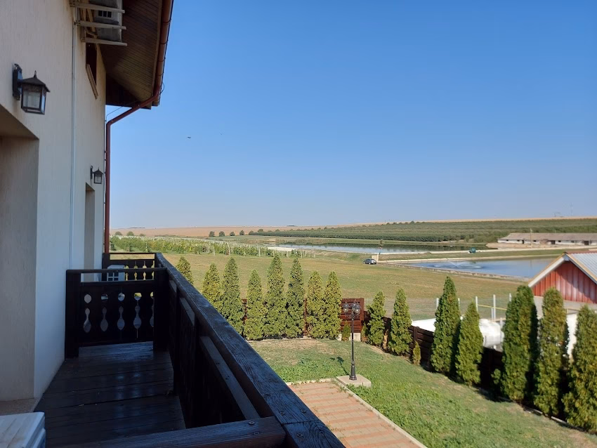 Crama Hermeziu Bivolari