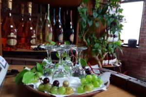 Crama Tohani Barcanesti