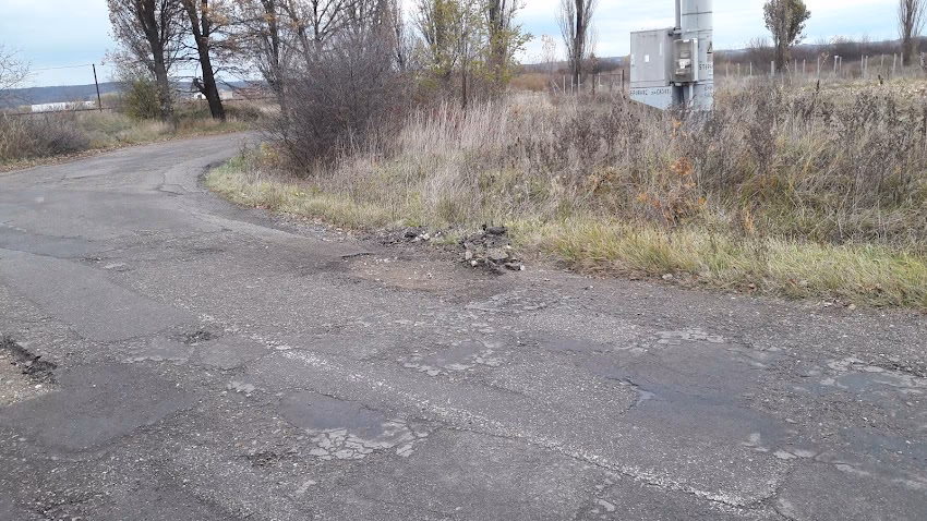 Crişana Pro Construct Srl