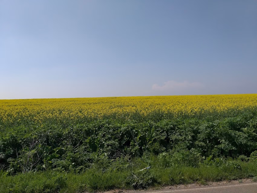 Crunţi