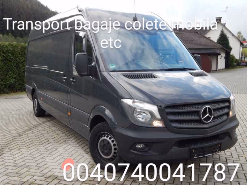 Dany transport Business Srl