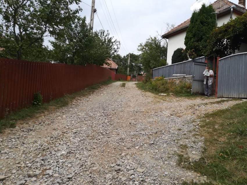 Dealu