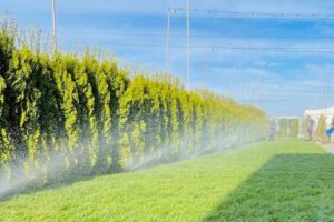 Deco Garden Business