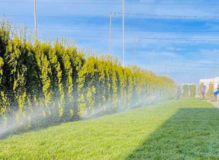 Deco Garden Business