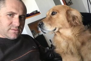 Deniprest Consulting Srl