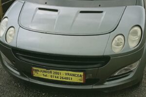 Dezmembrari Auto Panjunior 2001 Bizighesti