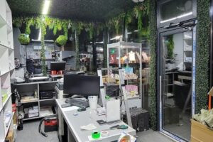 Dgx Digital Express Sediul Social