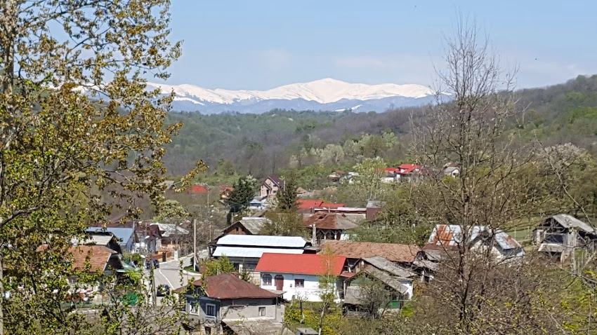 Diaconești
