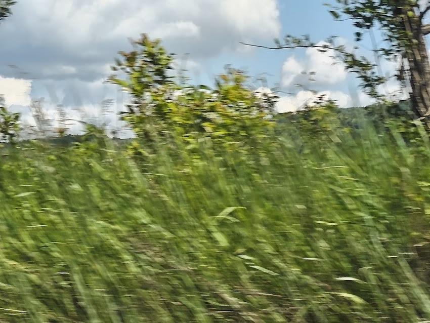 Direcţia pentru Agricultură şi Dezvoltare Rurală