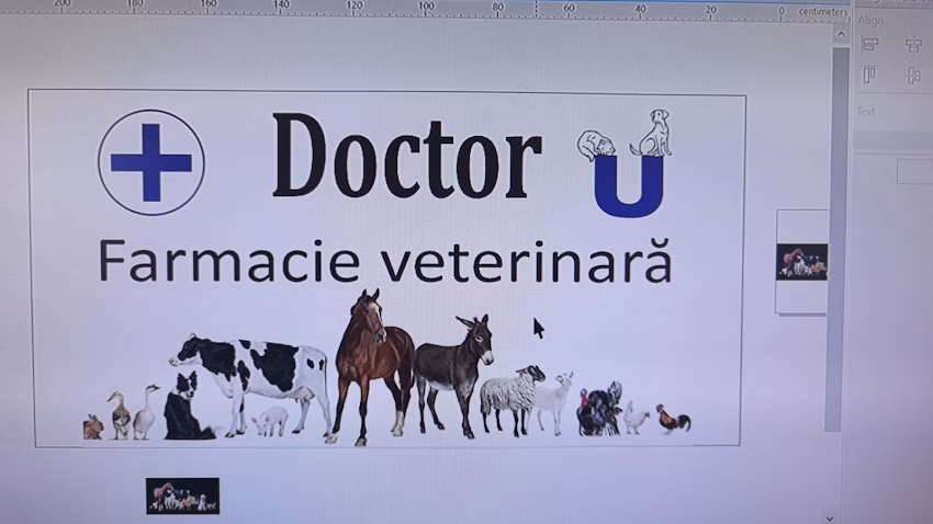 Doctor U Cabinet și Farmacie Veterinara
