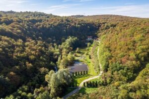 Domeniul Caprioara Savarsin