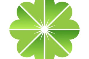 Domeniul Public Napoca Sa