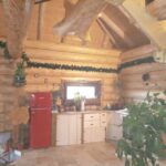 Doralnic Case din bușteni