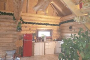 Doralnic Case din bușteni