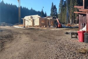 Doralnic Case din bușteni