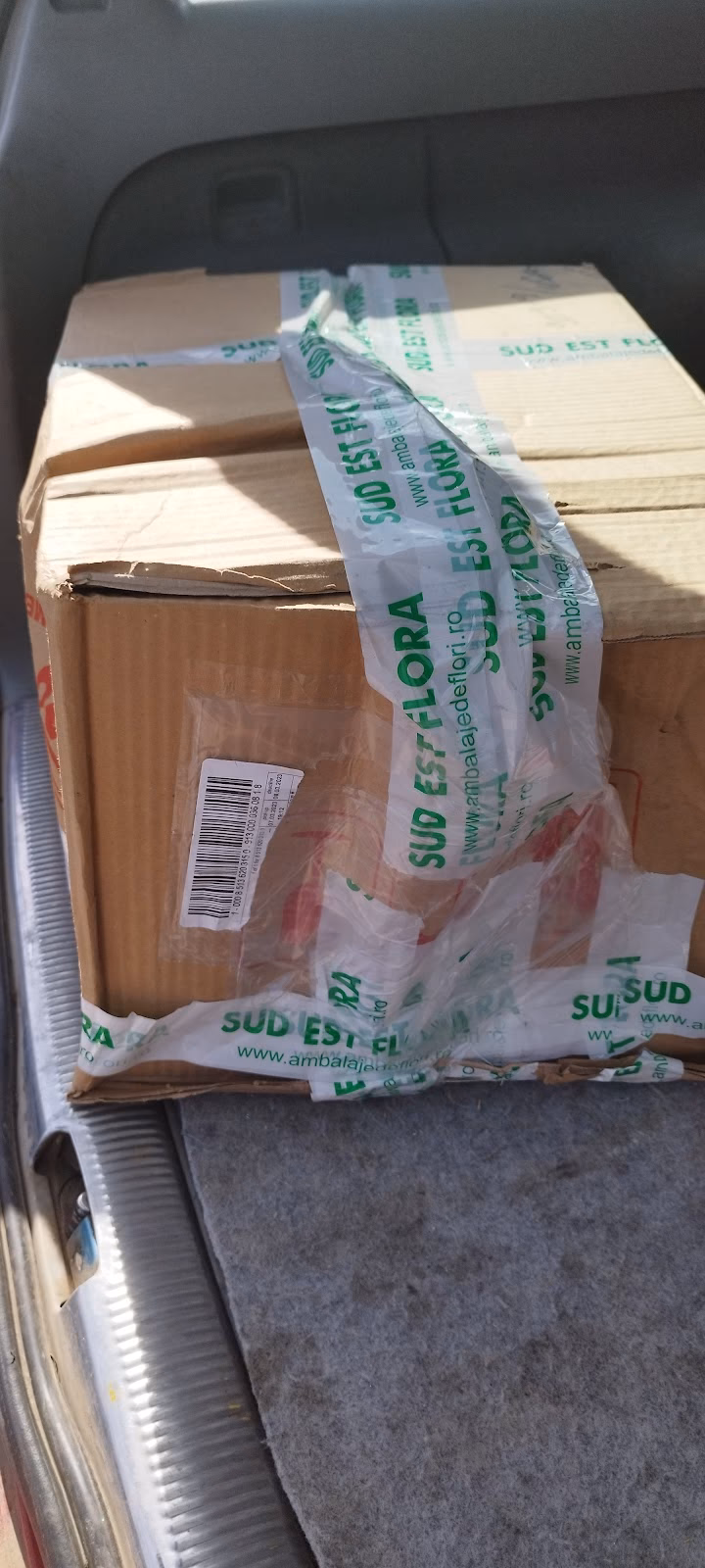 Dpd Sfântu Gheorghe