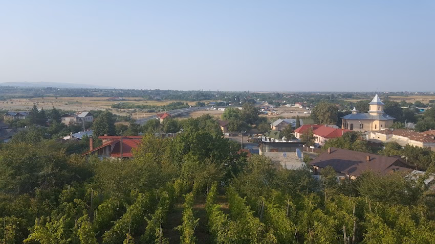 Dumbrăveni